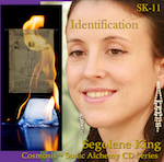 (image for) Identification - SK11